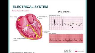 Cardiac Amyloidosis A Patient’s Perspective [upl. by Leeland302]