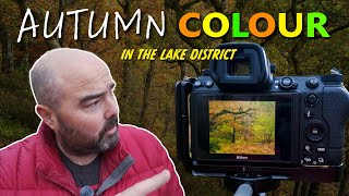 HOW TO Shoot Autumn Colour in FLAT LIGHT [upl. by Fuhrman]