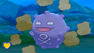 HOW TO GET Koffing in Pokémon Sword and Shield [upl. by Ramas841]