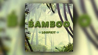 FREE GUNNA LOOP KIT  SAMPLE PACK  quotBAMBOOquot 20  GUITAR LOOPS [upl. by Spark103]