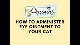 How to Administer Eye Ointment to Your Cat [upl. by Raff]