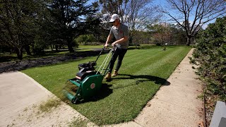 Everything To Know About Scarifying Removing Thatch From A Lawn Lawn Renovation Series [upl. by Zobias]