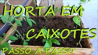 HORTA EM CAIXOTES DE MADEIRA PASSO A PASSO [upl. by Neelyk]