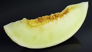 Honeydew Melon Decomposition Timelapse [upl. by Aizirk]