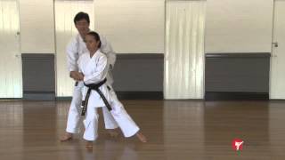 Goju ryu kata  saifa part 1 of 2 [upl. by Brower]