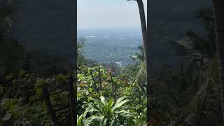 ANTIPOLO VIEW viral antipolo nice view youtubeshorts [upl. by Elyagiba]