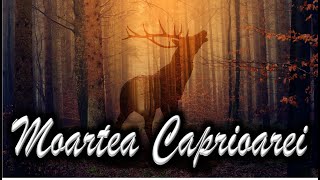 Moartea Caprioarei de Nicolae Labis  Poezie Audio [upl. by Baecher]