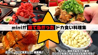 【安心して見れる】miniがドカ捨てしなかった料理集 [upl. by Ginder]