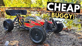 The CHEAPEST 110 RC Buggy Kit  ABSIMA AB34 [upl. by Stacey585]