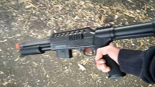 Shooting a cat with an airsoft gun watch the video before you dislike [upl. by Ajat826]