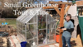 Small Greenhouse Tour amp Tips [upl. by Pippa]