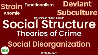 Social Structure Theories of Crime  Social Disorganization Strain Cultural Deviance [upl. by Nerhtak]