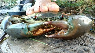 PANEN KEPITING JUMBO MENGGUNAKAN BUBU HASIL MELIMPAH [upl. by Halivah]