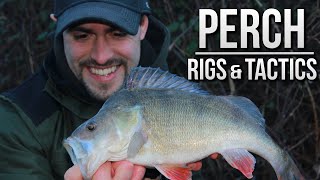 Perch Fishing with Prawns  Rigs amp Tactics  TAFishing [upl. by Enyawd]