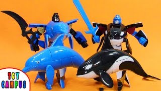 Robot War Dolphin and Killer Whale  Transforming Sea Animal  Bloodthirsty Orca  ToyCampus [upl. by Alig]