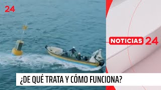 Premios Avonni Acústica marina óptima solución a problemáticas oceánicas  24 Horas TVN Chile [upl. by Plossl]