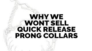 Why We WONT SELL Quick Release Prong Collars [upl. by Stokes]