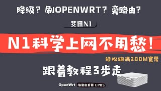 「30」斐讯N1刷OpenWRT科学上网软路由入门级教程  全程记录  N1 旁路由设置  斐讯N1降级到U盘刷入openwrt软路由系统固件  你的第一款的家用软路由？！ [upl. by Notgnilliw841]