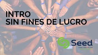 INTRODUCCION A LAS SIN FINES DE LUCRO ¿Qué es una organización sin fines de lucro en Puerto Rico [upl. by Jeramie]