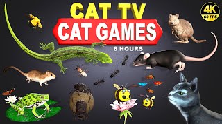 CAT GAMES  THE ULTIMATE CAT TV COMPILATION FOR FELINE FRIENDS  GAMES FOR PETS 4K 8 HOURS [upl. by Roze]