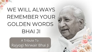 A Tribute to Rajyogi Nirwair Bhai Ji [upl. by Bandler906]