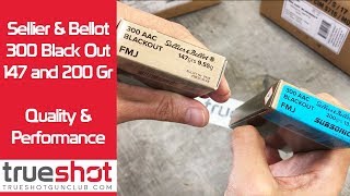 Sellier amp Bellot 300 Blackout Ammo Review [upl. by Hafital710]