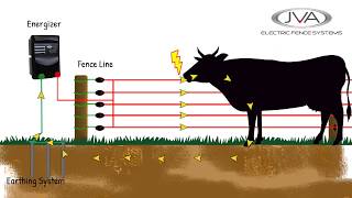 How does an electric fence work [upl. by Nemzzaj]