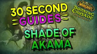 Shade of Akama  Black Temple  30 Second Guides [upl. by Ardnahcal810]