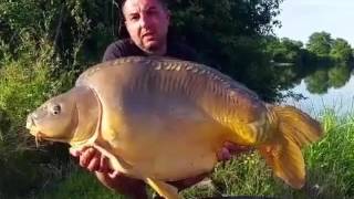 Karpervissen in Frankrijk op Lac de Villedon  Eddy Sterckx  zomer 2016 [upl. by Dannel]