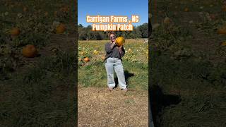 I Picked The Best Pumpkin 🎃At Carrigan Farms 😇 shortsfeed ytshorts pumpkinpatch carriganfarms [upl. by Rebor]