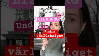 Orsaker till första världskriget [upl. by Eiramannod187]