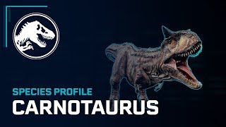 Species Profile  Carnotaurus [upl. by Ahsekyt]