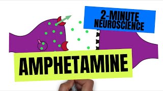 2Minute Neuroscience Amphetamine [upl. by Lleunamme736]