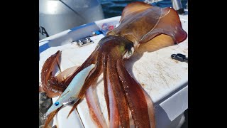 Western Port Squid Fishing [upl. by Hazelton]