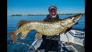 Kurbeln für das Müritz Monster  Hechte angeln im Freiwasser [upl. by Fondea]