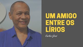 UM AMIGO ENTRE OS LÍRIOS  344  HARPA CRISTÃ  Carlos José [upl. by Coy]