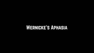 Brocas Aphasia vs Wernickes Aphasia [upl. by Surdna]