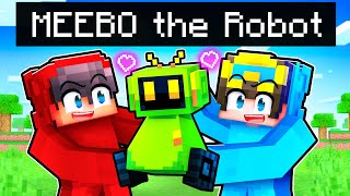 HOW I MET MEEBO The Robot In Minecraft [upl. by Aneetsyrk]