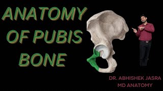 ANATOMY OF PUBIS BONE easy to remember [upl. by Marfe]