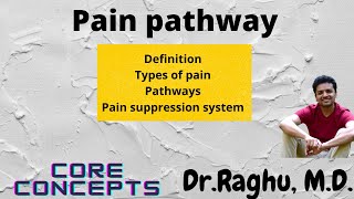 MEDICATIONS FOR PAIN  Analgesics Part 2  ICU Drips [upl. by Belayneh]