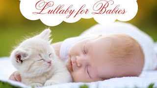 Cute Brahms Lullaby for Babies to go to Sleep  Music for Babies  Baby Lullaby songs go to sleep [upl. by Roldan]