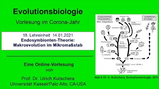 Experimentelle Evolutionsforschung Von der Hundezucht zur Computersimulation [upl. by Xella]