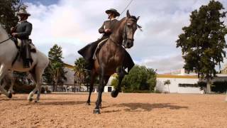 Royal Andalusian School of Equestrian Art [upl. by Ursula820]