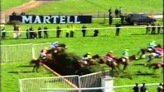 1999 Grand National [upl. by Lorou]