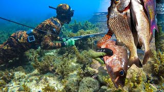 Spearfishing For Food [upl. by Tacita]