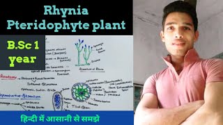 Rhynia pteridophyte plant [upl. by Neeven]