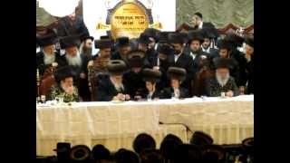 Viznitz Vien Bar Mitzva Admor MViznitz singing Oida Hashem [upl. by Donough]