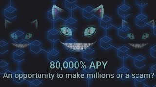 Urgent Time Wonderland  80000 APY Is it a legit project or a scam [upl. by Yenettirb]