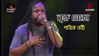 Brikkho Jemon  Pothik Nobi  বৃক্ষ যেমন  পথিক নবী [upl. by Deadman]