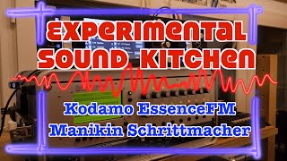 ESK  Kodamo EssenceFM  Manikin Schrittmacher [upl. by Hcurab]